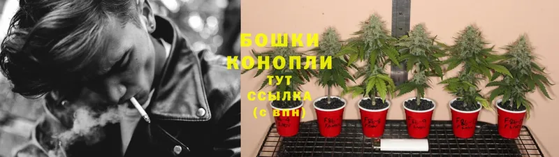 OMG ссылка  Боровичи  Марихуана OG Kush 